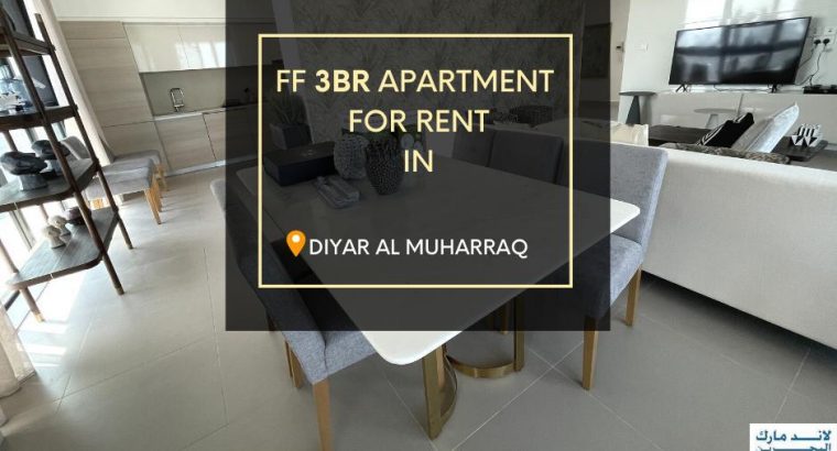 Brand New 3 BHK Apartment For Lease in Diyar Al M.